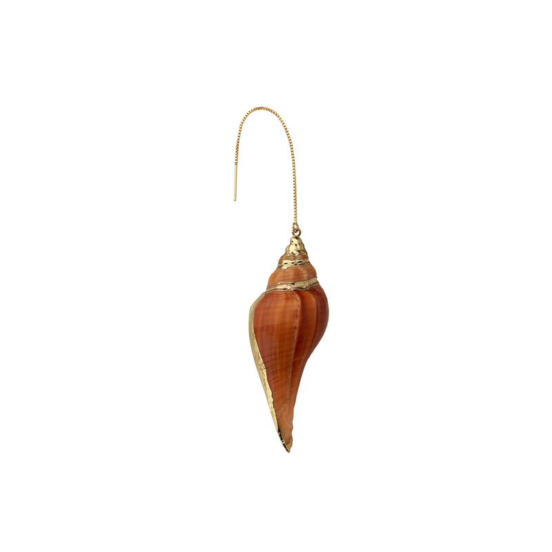 True Tulip Sea Shell Earring
